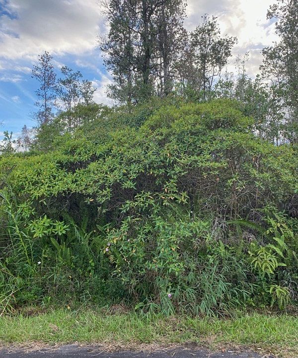 1st image of Mauna Kea Dr Lot 38