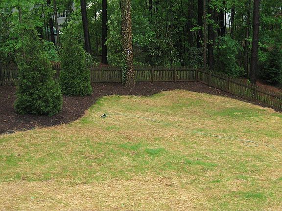 Level backyard
