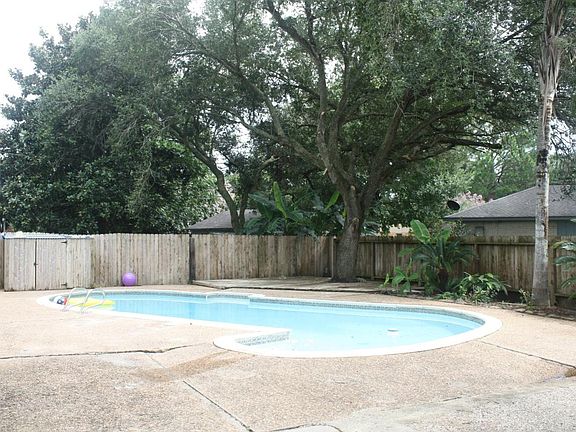 Pool / Back Yard