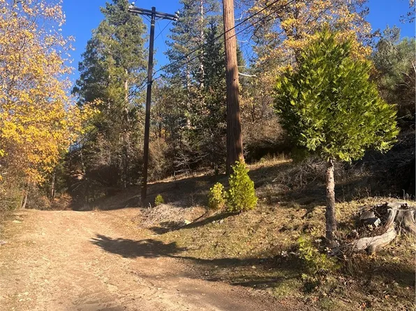 29834 Juniper Dr #7, Cedar Glen, CA 92321