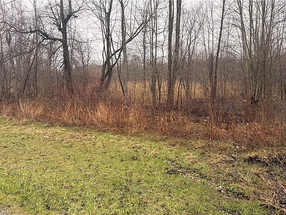 2nd image of Ninevah Rd