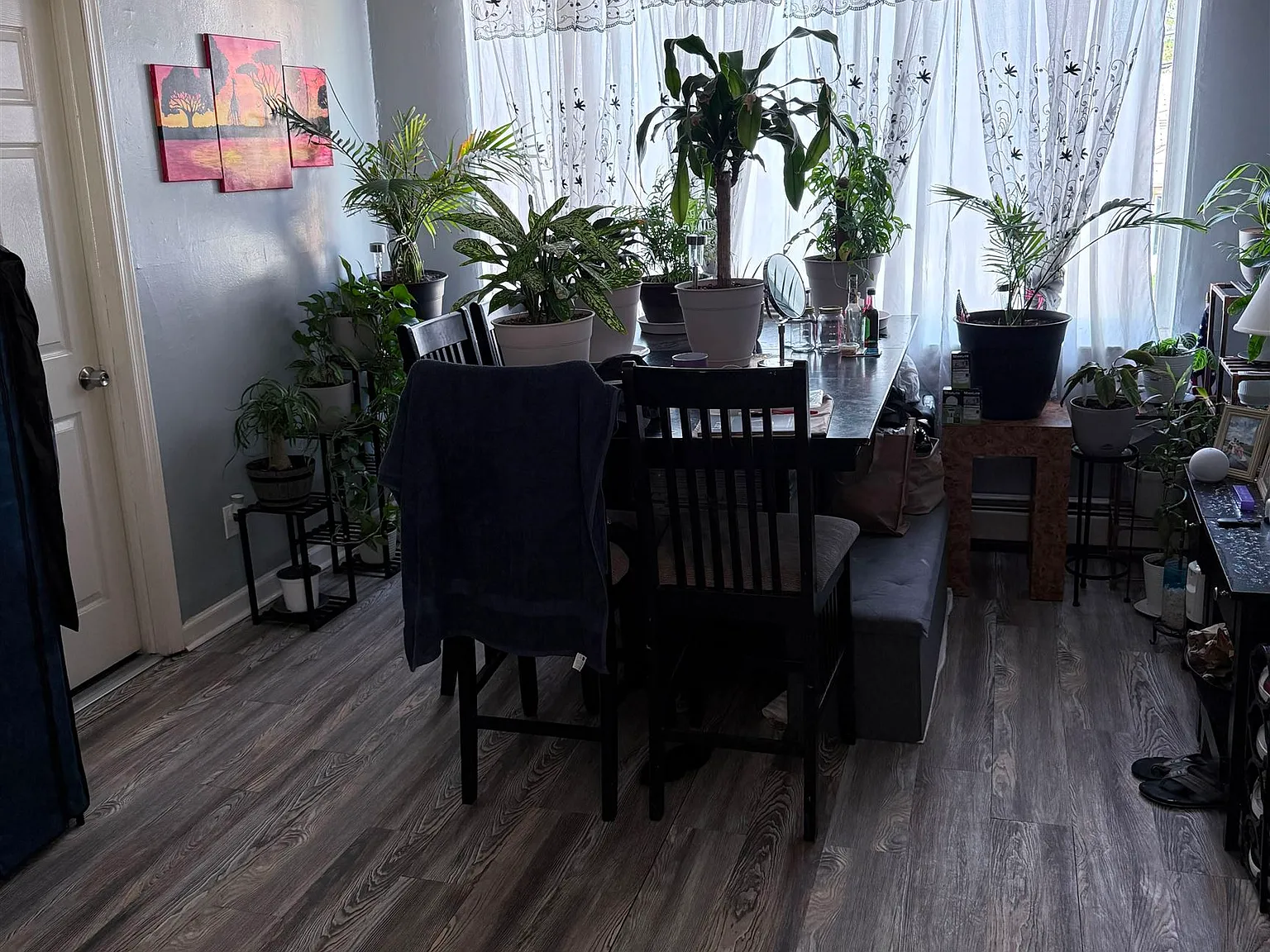 3 bed, 1.0 bath, $2,800 — Photo 3