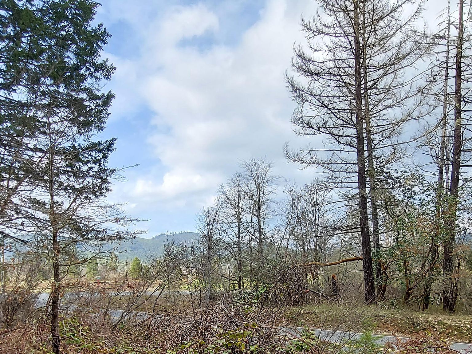 Thompson Creek Rd LOT 202, Selma, OR 97538 MLS 220152953 Zillow