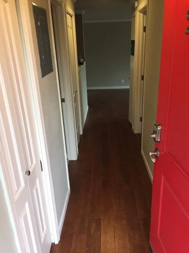 1 bed, 675 sqft, $1,875 — Photo 4
