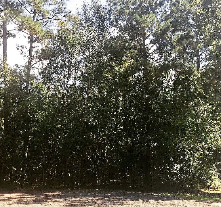 1st image of 1105 Cordwood Cir