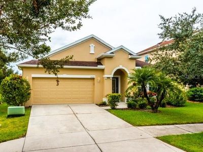 20227 Autumn Fern Ave, Tampa, FL, 33647