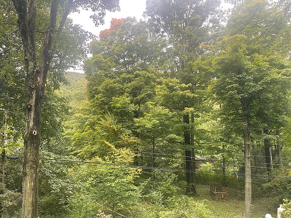 4th image of 167 Highland Rd