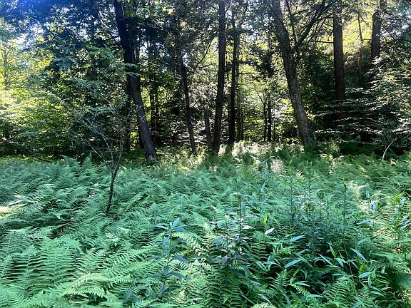 4th image of 7 Carleton Pond Rd #7