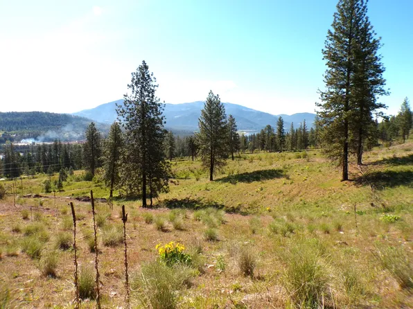Xx Ballard Ave, Kettle Falls, WA 99141