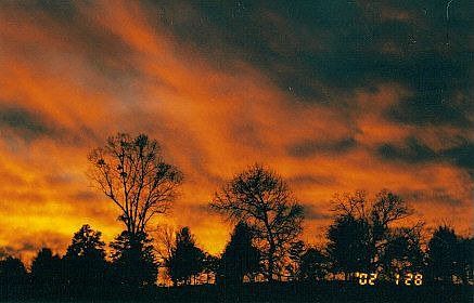 Sunset at Farm