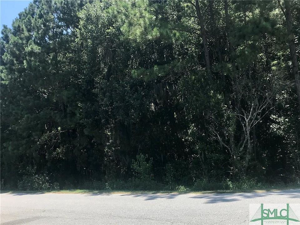 2nd image of 1 Duckbill Chase