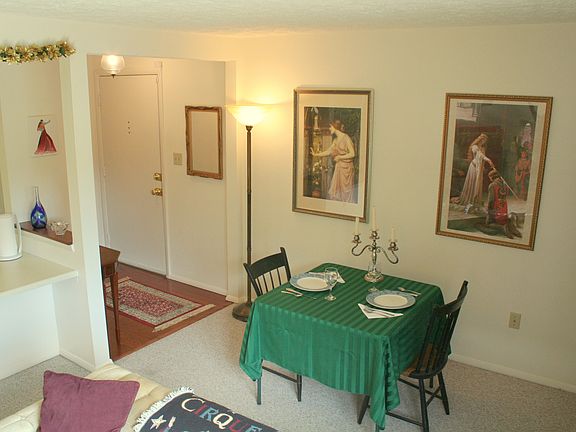 Entrance and living room
