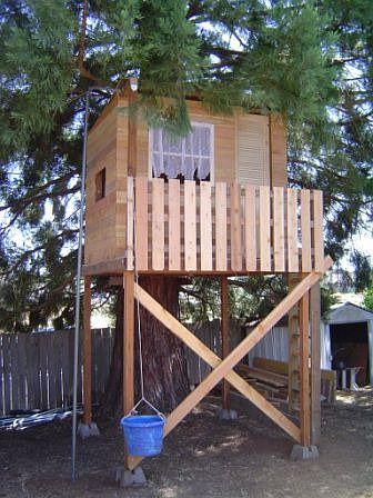 Tree house in backyard