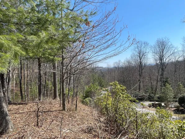 126 Pinnacle Peak Ln, Flat Rock, NC 28731