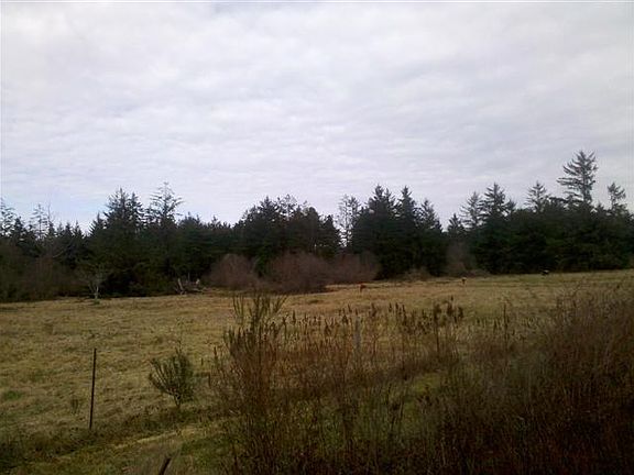 3rd image of 2860 Lake Earl Dr