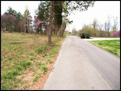 3rd image of 366 Black Oak Ln