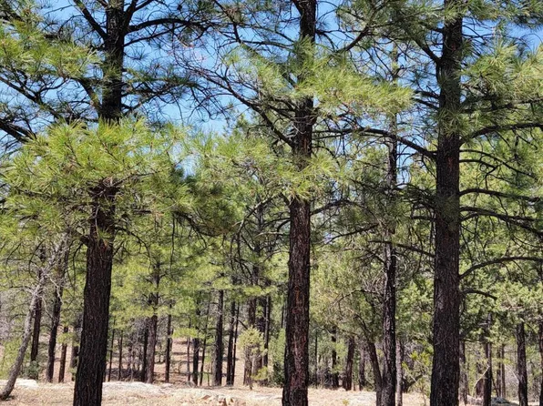 2965 Eagle Ridge Cir, Happy Jack, AZ 86024