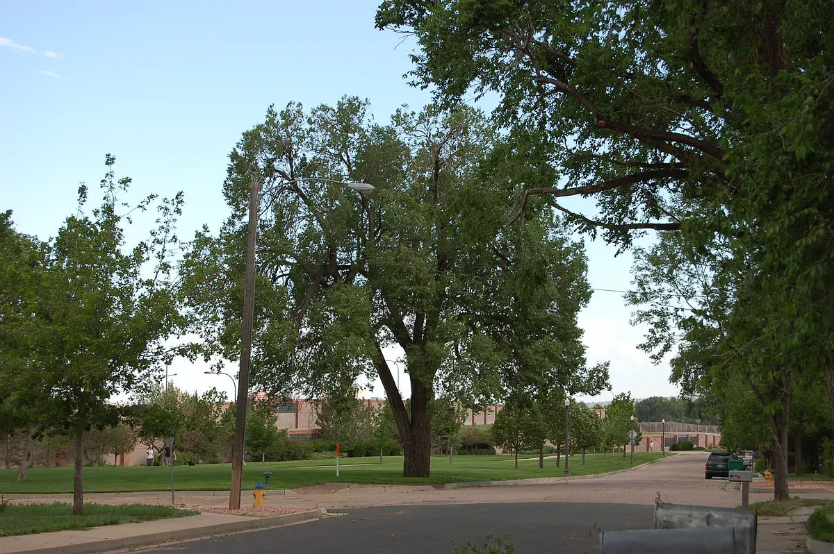 Building Photo - 2218 Cooper Ave #0