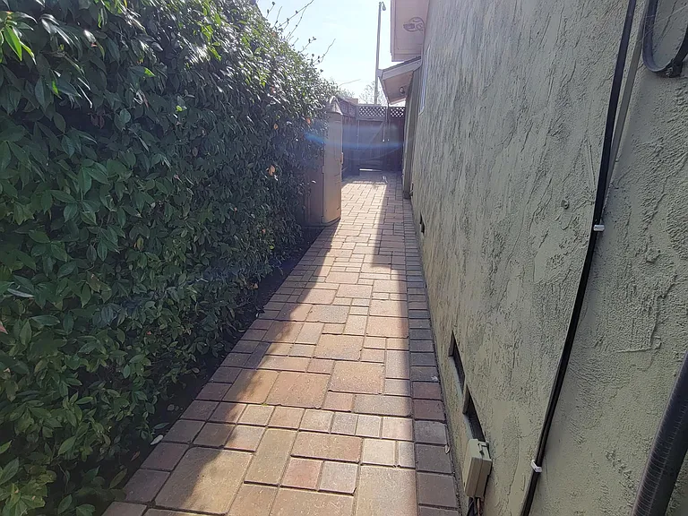 1013 Tulip Dr — Photo 13