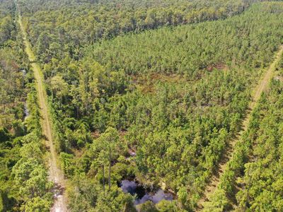 0 Bat Rd, Perry, FL, 32347