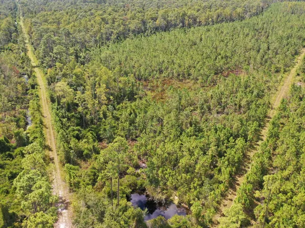 0 Bat Rd, Perry, FL 32347
