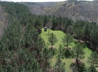 0 N Wolf Creek Rd, Centerville, TN 37033