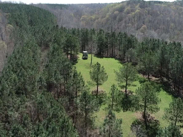 0 N Wolf Creek Rd, Centerville, TN 37033