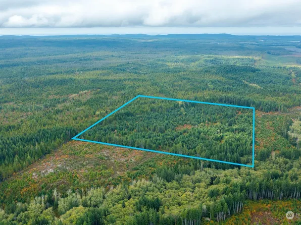 0 Meadow Creek, Quinault, WA 98575