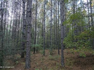 S County Road 77, Mize, MS 39116