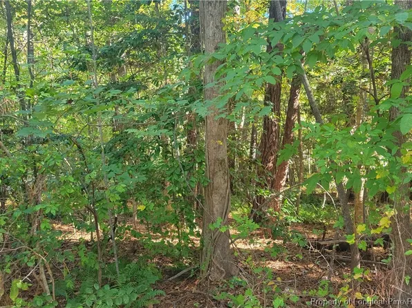 3201 Argyll Dr, Sanford, NC 27332