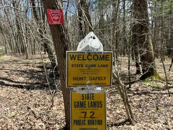 Breniman Rd, Shippenville, PA 16254