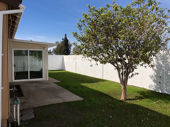 back yard