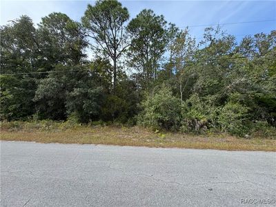 2830 S Bolton Ave, Homosassa, FL, 34448