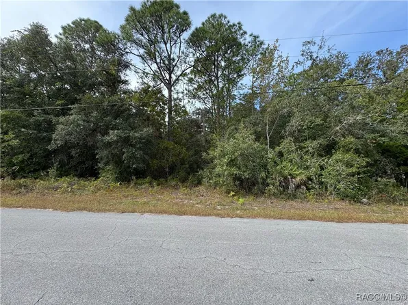 2830 S Bolton Ave, Homosassa, FL 34448