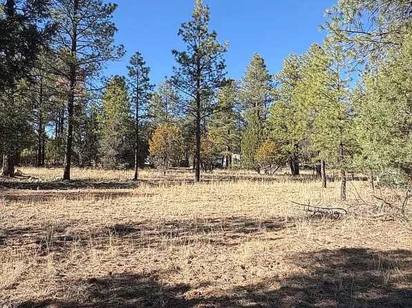 2096 Forest Park Dr, Overgaard, AZ 85933