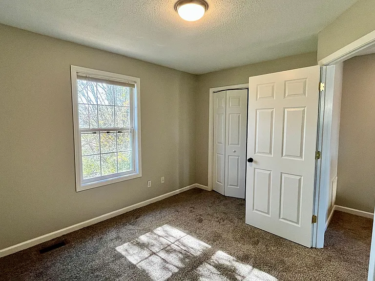 346 Old Gray Station Rd — Photo 28