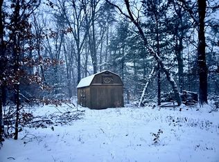 3383 S James Rd, Baldwin, MI 49304