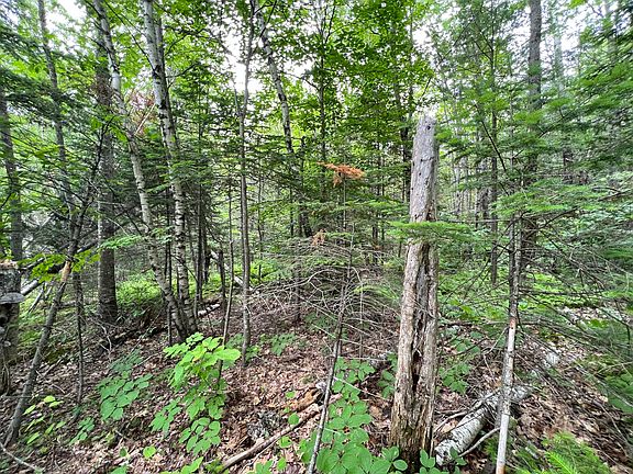 5th image of Lot 13 Off Pinkham Street