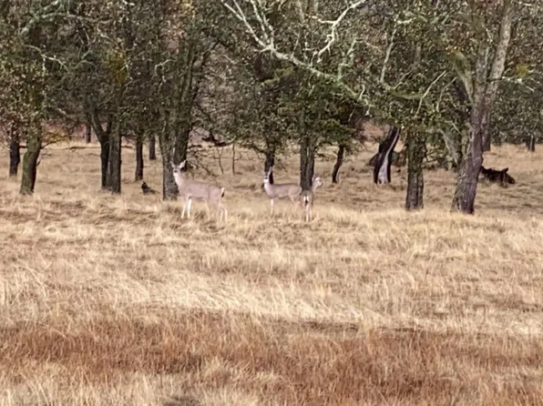 16741 Joy Rd, Mokelumne Hill, CA 95245