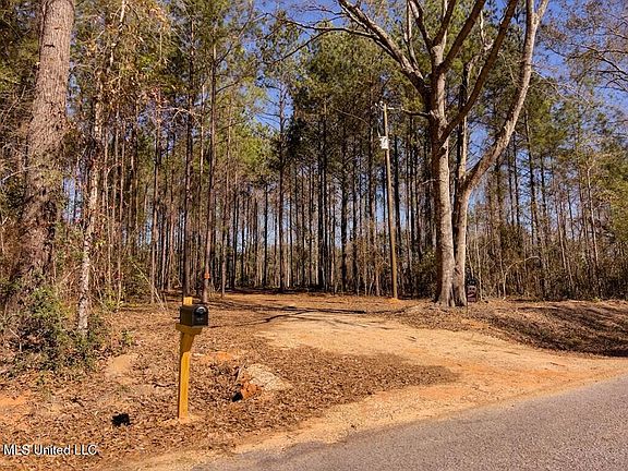 2nd image of 24 Nelson Rd