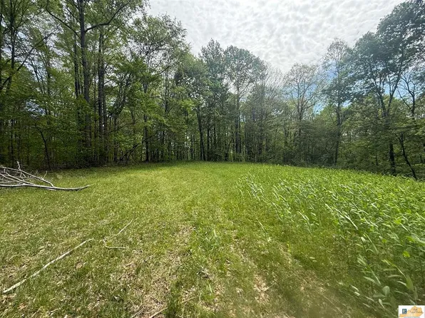 1200 Sandlick Rd, Columbia, KY 42728