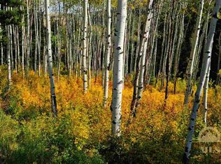 Martinez Spring Road, Bozeman, MT 59715