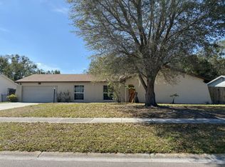 258 Van Gogh Cir, Brandon, FL 33511