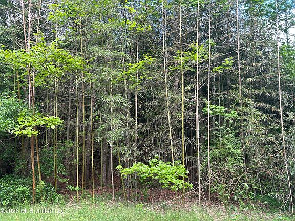 5th image of 0 Hooper Mill Creek Rd #1