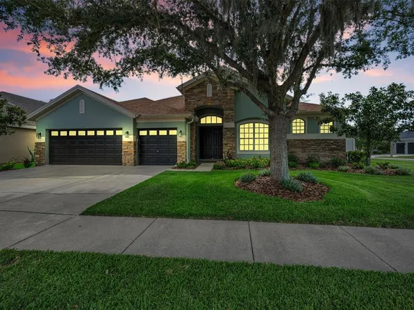 1629 SALMONBERRY STREET, WESLEY CHAPEL, FL 33543