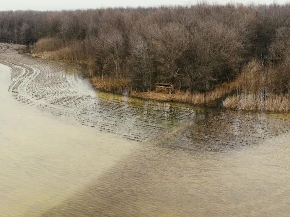 660 E New Africa Rd, Alligator, MS 38720