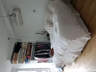 Rented by Simply Brooklyn Realty Inc