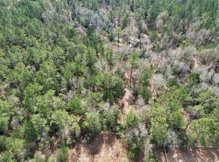 290 NE Rye Ct, Lee, FL 32059