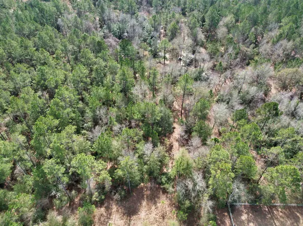 290 NE Rye Ct, Lee, FL 32059