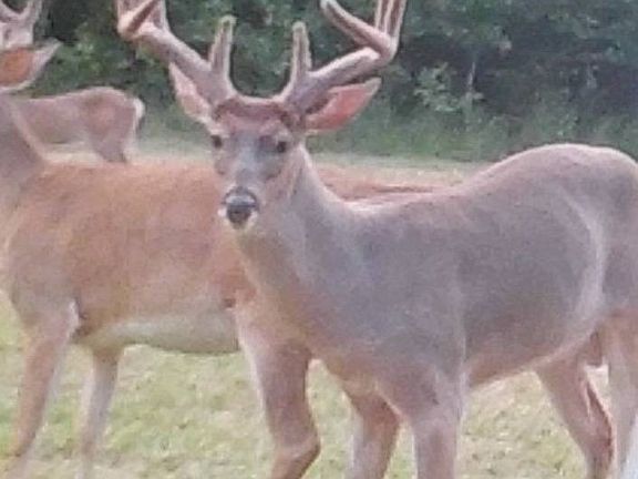2nd image of 4930 County Road 33